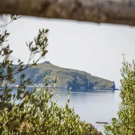 Cilento Getaway W Terrace Appartamento *